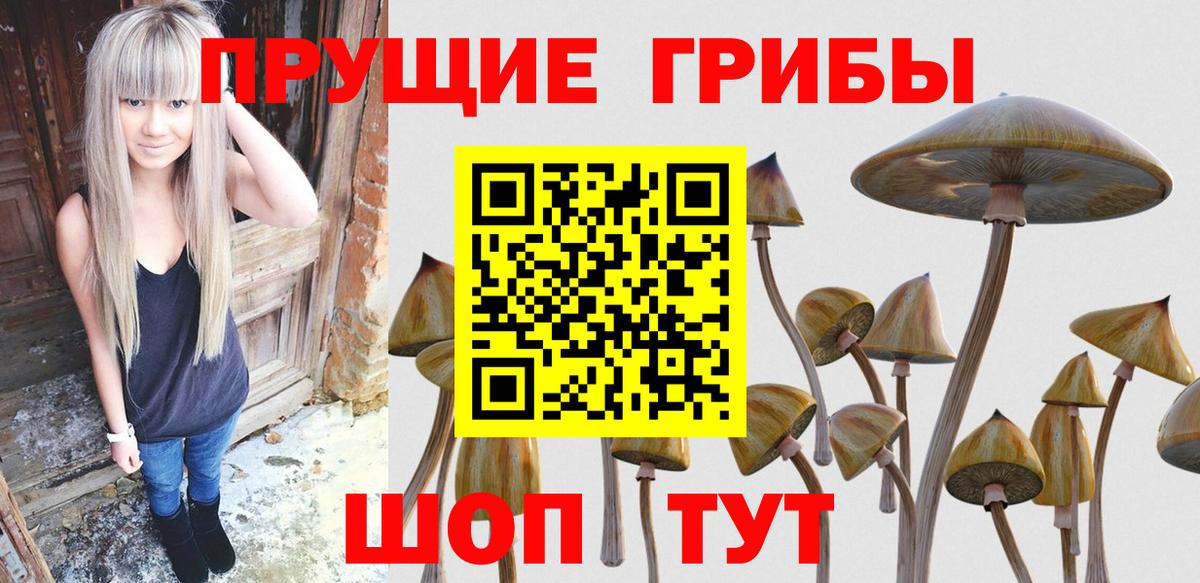 Псилоцибиновые грибы ЛСД Майкоп