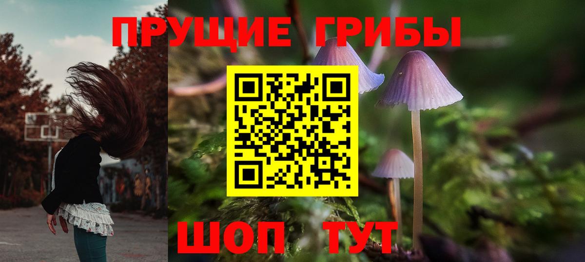 Галлюциногенные грибы Psilocybine cubensis  Вход с VPN  Майкоп 